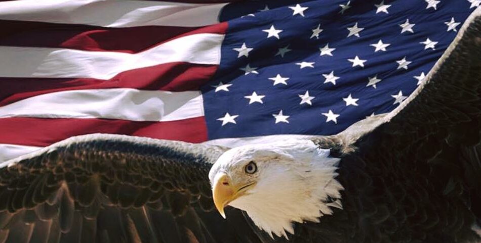 ​Lesley Nelson ~ Guardian ~ Evansville, IN